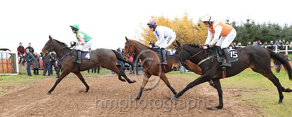 10, 11 Seacon Beg & W Thompson - PU (14, white, blue panel) & 09 SevenBalls of Fire & J J Codd - Fell (15, white, red sash) - CU2D9467-52