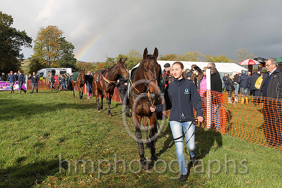 East Antrim Hunt Point to Point at Loughanmore