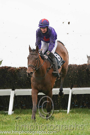 01 Ardmillan and Anthony Fox - - 01st (8 ,purple, red star ) Trainer - S R B Crawford