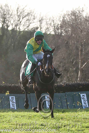 Green Diesel & Mr P J Cawley - 5th (5, yellow, emerald green sash) - FT8E1235-60