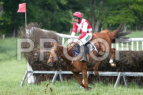 Fourth Race - Uasaka (2) 7th, Rider Derek O'Connor - CU2D9637-e