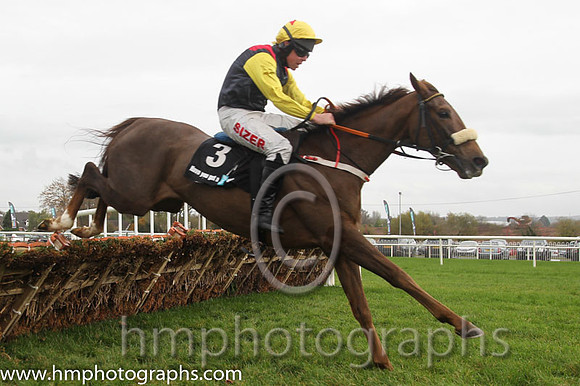 04 King of the Picts and A E Lynch - - 04th (3 ,black, red epaulettes ) Trainer - J P Shanahan