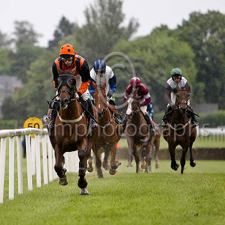 Whatuthink & T J Doyle - winner (12, orange, dark blue braces) - FT8E5216-e