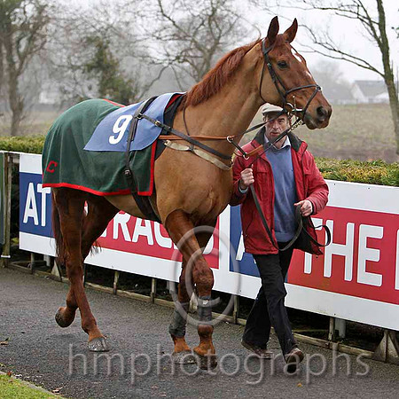 Rocklet, JOckey R Heraghty - 3rd - CU2D1943-e