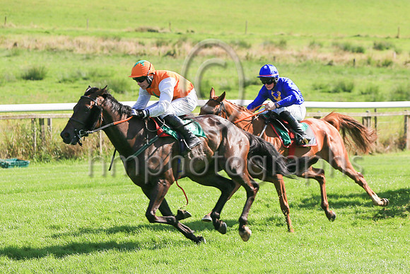 Sphagnum and Denis O'Regan (orange and green star) jumping the last to win Race 4 The Downpatrick Racecourse Best Dressed Lady Handicap Hurdle