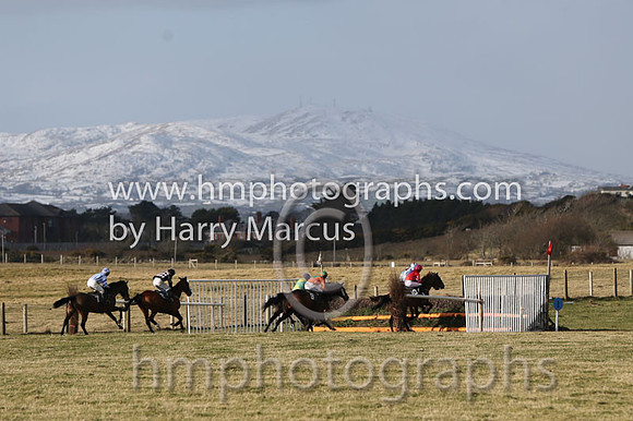 Race 3 at Tyrella