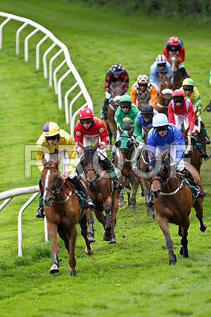 Banellie in the lead, finished 4th, Jockey M M O'Connor - FT8E1660-e2