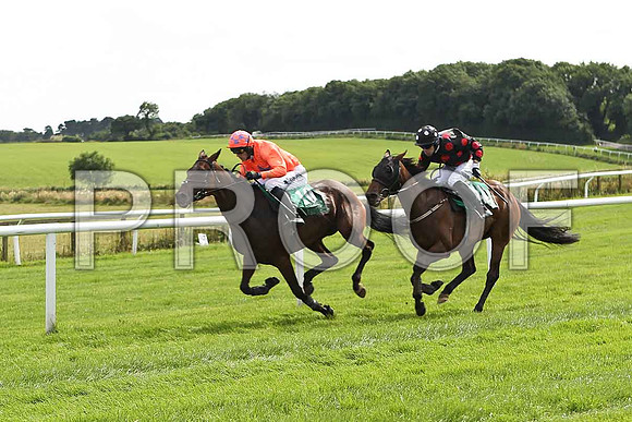 Rory's Sister , 6th Jockey Andrew J McNamara & Idle words , 7th Jockey M J Ferris - FT8E2960-e