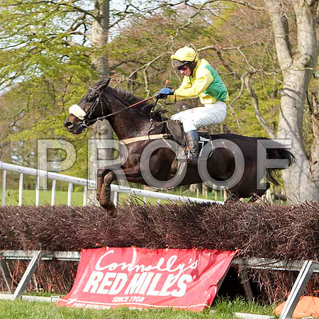 Fayebay , 4th, Jockey - N McParlan -CU2D4679-e