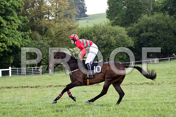 Educated Guess , 7th, Jockey Ms C V Annan  - FT8E2570-e