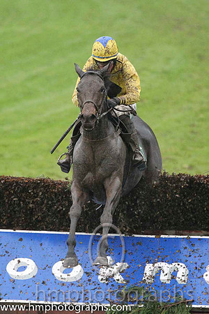 08 Lilly The Lioness & M P Fogarty - 8th (4,yellow, black diamond ) - FT8E9122-27