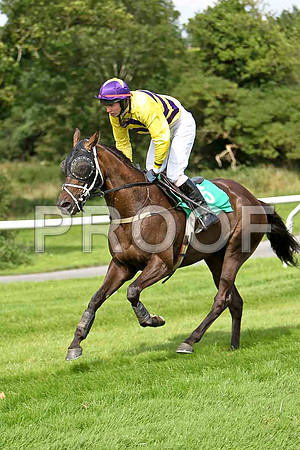 Mighty Whitey 3rd, Jockey Mr D R Fox - CU2D1617-e