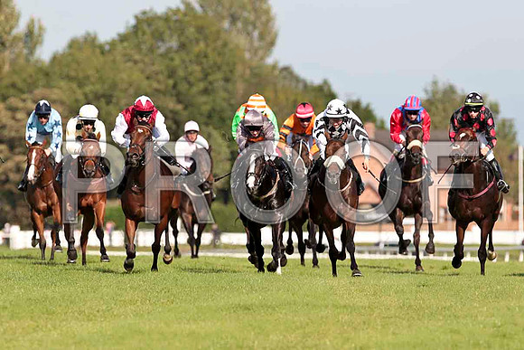 Race for sccond place - CU2D9520-e