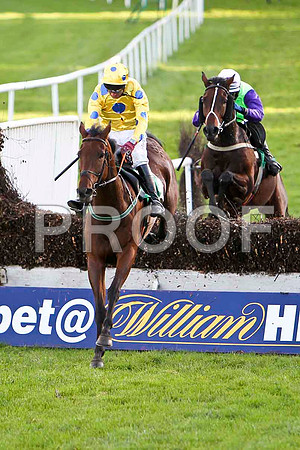 Lets Go Sunshine in the lead , Jockey J L Cullen - Winner  & Strolling Home, Jockey P Townend - 2nd - CU2D9451-e