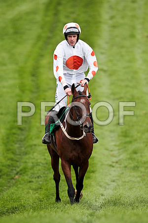 King'sandQueen's - 2nd , Jockey Andrew J McNamara   - CU2D9496-e