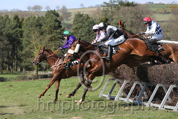 02nd - Jardin Des Plantes (16)  R James - Trainer: Colin Bowe - purple