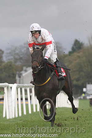 02 The Herds Garden & Ms N Carberry - 2nd (10, white, red hoop) - FT8E0518-8