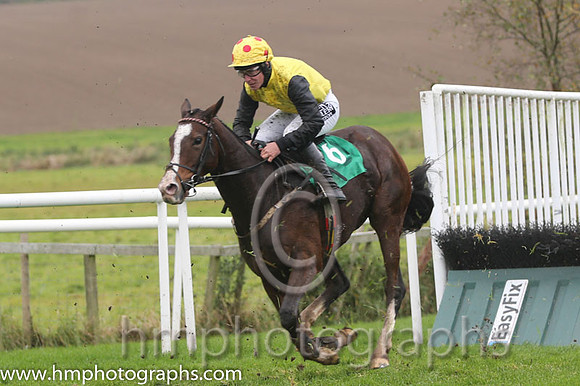 07 LottoLove and P T Enright - PU - 07th (6 ,Yellow, black sleeves ) Trainer - Ms O'Connell