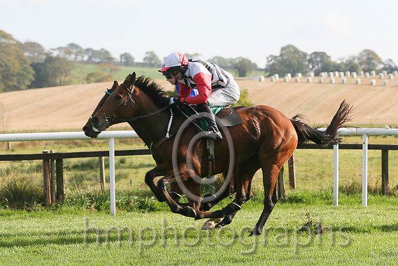 01st Urban Dusk ( 2 , white and black chevrons ) and D.R. Fox - Trainer : Mark Michael McNiff - Owner : Sligo Racing Club