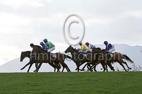 Lord Baltimore (23) & D J Foster - 7th , Clonleigh (16) & D A Fitzsimmons PU, Gee Enne Two (19) & P J Flood - 4th ,  Petworth (3) & B O'Neill & Better Back Bob (9) & G B Watters - winner  -FT8E9277-e