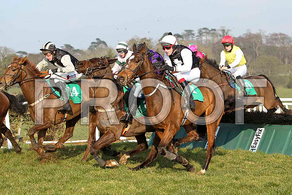 Glenbane Gent - 9th, Clara More 4th, Kellytown Jack - Fell & Tawrific Laois - 5th -FT8E0479-e