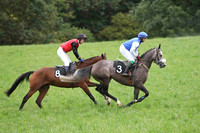 Rhiaglass (8) & Baileys Ruffit (3) - CU2D2566-e