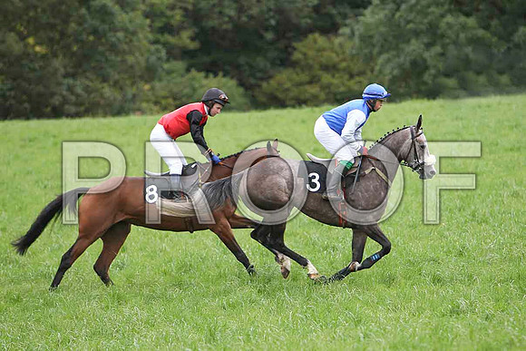 Rhiaglass (8) & Baileys Ruffit (3) - CU2D2566-e