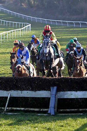 Hughies Grey Winner, Jockey M Darcy -  FT8E0489-e2