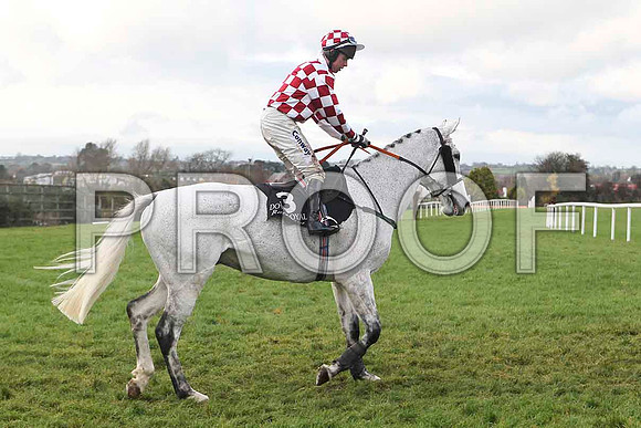 Archies Lad , Jockey A E Lynch - 9th - FT8E4874-e