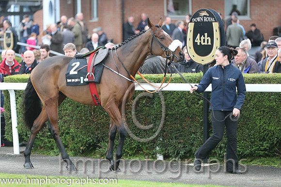 07 Tiger Roll and B J Cooper - PU - 07th (2 ,maroon white star ) Trainer - G Elliott