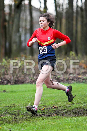 Yasmin Wilson , 6th in 20.36 - Ballyclare High -FT8E7616-e3