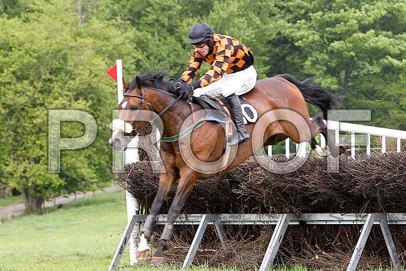 Mister Philson - Winner, Jockey Derek O'Connor - FT8E2537-e