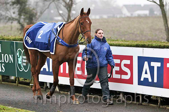Gris Lord 3rd, Jockey Mr C Cully - CU2D2118-e