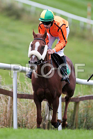 Tarwiyna - 9th , Jockey I J McCarthy - CU2D9464-e