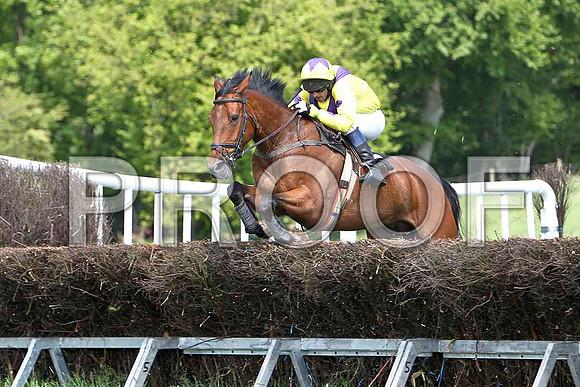 First Race - Filbert Fox (8) Fell, Rider R M Johnson - CU2D9542-e