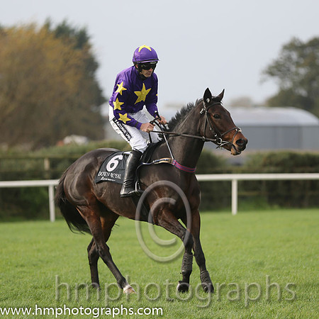 01 Morning Run and R Walsh - - 01st (6 ,purple, yellow star ) Trainer - W P Mullins