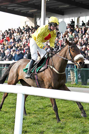 Killegney - 6th, Jockey M N Doran - FT8E0436-e