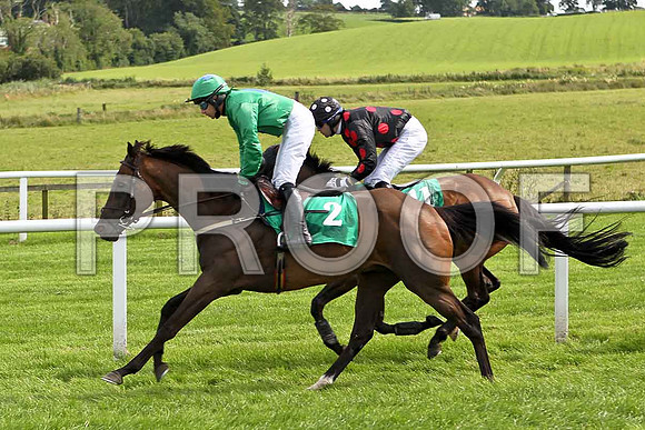 NIvek's Dream 5th, Jockey A P Thornton & Idle words 7th, Jockey M J Ferris- FT8E2946-e