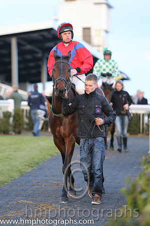 Race 7 7th - Ted (IRE) (3 ) Jockey: Mr J J Codd - Trainer: P J Rothwell - red, blue cross belts