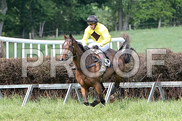Fifth Race Div 2 - Top Gal (39) 4th, Rider M J Henry - CU2D9733-e