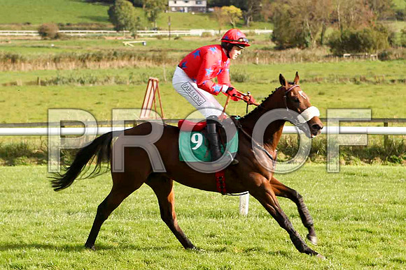 Regal Lyric , Jockey K M Donoghue - 9th - FT8E4416-e