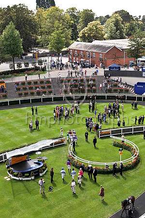 Jockeys emerge into the Parade Ring at Ascot - IMG_9835-e