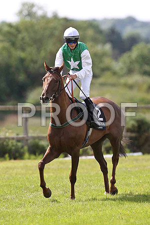 Native Express 7th, Jockey B A Curtis - FT8E1556-e