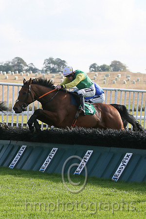 01st Sarwistan ( 5 , green, yellow sleeves ) and R. Walsh - Trainer : A.J.Martin - Owner : John Breslin