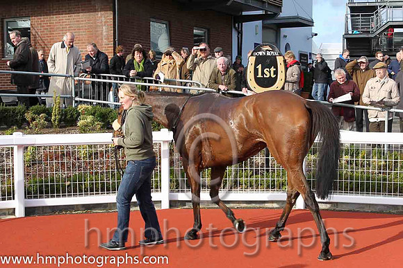01 DoesSheEverStop & Andrew J McNamara - winner (5, emerald green and orange stripes ) - CU2D8851-21