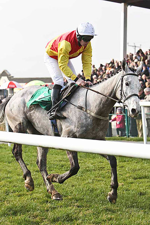 Ounaja 5th, Jockey S E Butler - FT8E0434-e