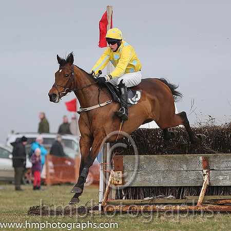 07th PU Super Scorpion ( 16 )  M J Lynch - Trainer: Mark L Fagan - yellow, black spots