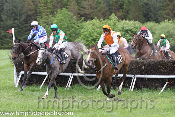 01 KnockYourSocksOff & J J Codd - winners (10, orange, white epaulettes ) - FT8E6657-30