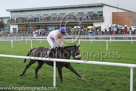 04th Dixie Lee and Mr M J O?Hare ( 6 , pink, whiteband, blue cap ) Trainer - D A McLoughlin , Owner - Mrs P J Conway