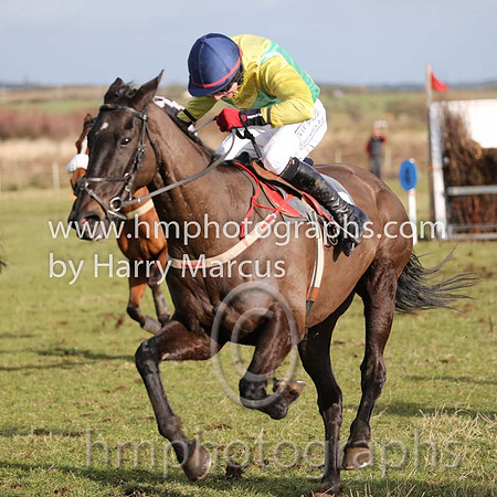 01 Mr Bolt  D H Lavery - Trainer : Sean McParlan, Black and tan check
